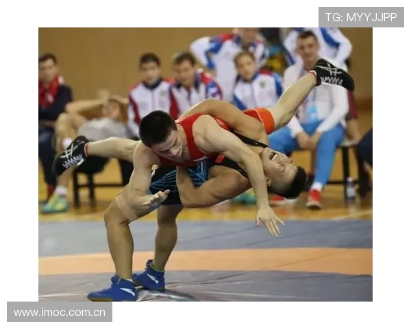 畅享半岛体育在线观看，打造你的私人观看盛会