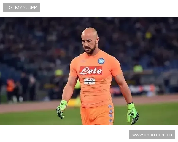 米兰体育线上手机版用户评价：真实玩家的使用反馈汇总