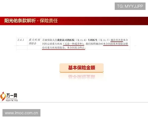选择九州体育app网址的五大理由与优势解析