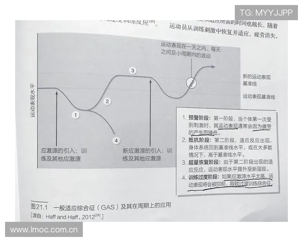 东兴市悦动体育黄寿龙:提供个性化运动指导与科学训练方案 东兴市悦动体育黄寿龙:提供个性化运动指导与科学训练方案